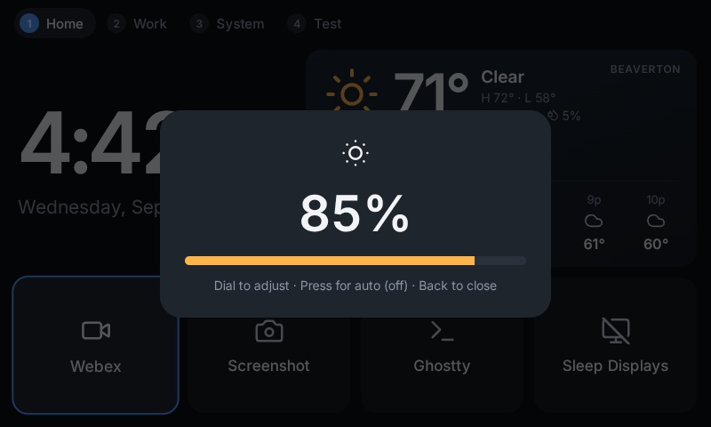 Brightness overlay captured from the real Car Thing screen