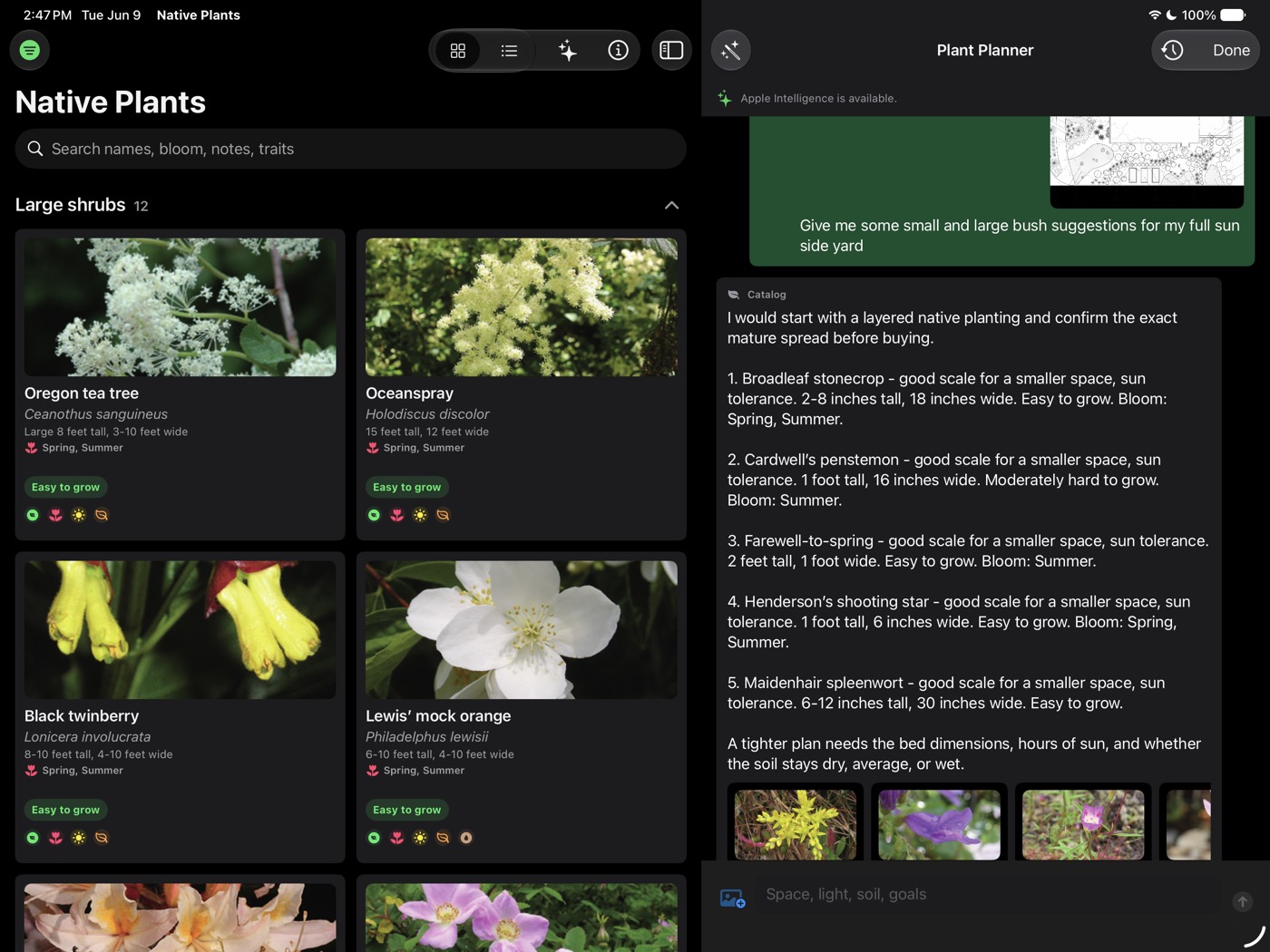 Native Plants iPad catalog and planner